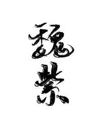 Wei Zi[clear wear]